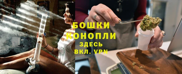 спиды Щигры